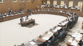衆院・憲法審査会が国民投票テーマに集中討議　自民は国民投票法改正案を今国会提出の方針示し速やかな審議求める| TBS CROSS DIG with Bloomberg