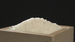 「向こう3か月」のコメ価格見通し大幅上昇 新米は高止まりか 上げ幅は過去最大| TBS CROSS DIG with Bloomberg