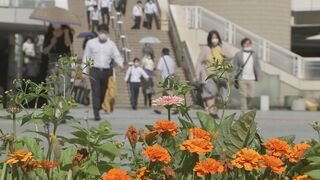 「50代女性社員」に力を発揮してもらうために必要な「上司からの期待」　企業側は“中高年社員の役割”を明確に| TBS CROSS DIG with Bloomberg