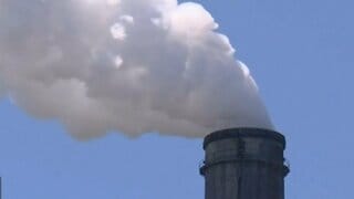 「フューチャーウォッシュ」何を信じて買えばいい？サステナビリティの「言葉」と「行動」の乖離　| TBS CROSS DIG with Bloomberg