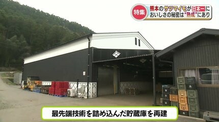 日本一のサツマイモが熊本に！美味しさの秘密は「収穫後の熟成」農家