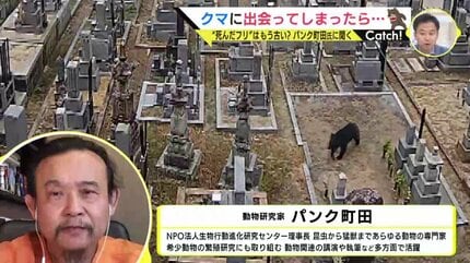 街中で “クマに遭遇” どうする？「熊よけの鈴の効果は期待薄」「死んだ