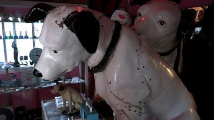 屋根にずらりと並んだ「ビクター犬」がつないだ絆 特別な2匹に秘められ