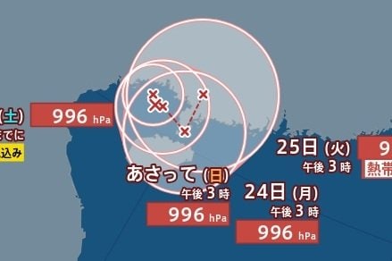 【台風情報】トンキン湾付近の台風のたまご「熱帯低気圧b」が、明日22日15時までに台風に発達する見込み　日本への影響は少ないか　台風18号の進路予想・今後の雨風シミュレーション【気象庁21日16時30分発表】|TBS NEWS DIG