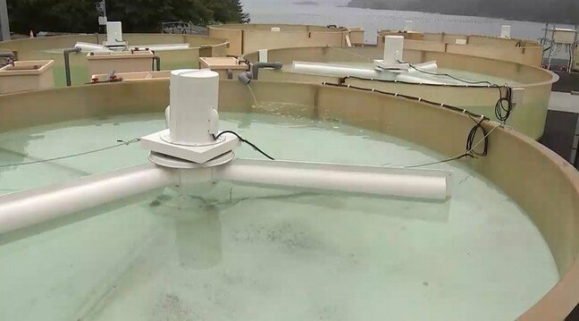 新たな商品開発や企業誘致へ宮城県が初のコスメ素材ツアー開催 化粧品メーカー海藻養殖を視察|TBS NEWS DIG