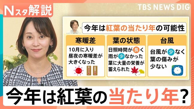 今年は「紅葉の当たり年」!ロープウェイ運賃に価格変動制導入で“紅葉の価値”が上がる?【Nスタ解説】|TBS NEWS DIG