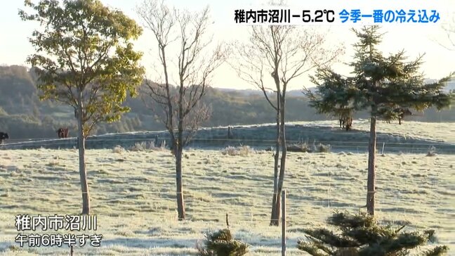 最低気温マイナス5.2℃ 北海道でこの秋一番の寒さ 牧草地は霜で一面が銀世界に 稚内市沼川で記録|TBS NEWS DIG