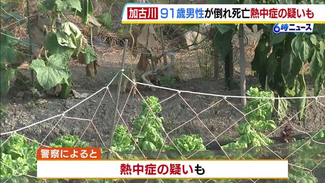 兵庫県内の畑や路上で男性2人死亡…熱中症の疑いも 畑で倒れていた男性は外傷なく死後硬直が進む|TBS NEWS DIG