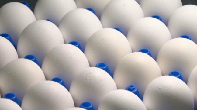 卵10個で276円 平年と比べ約2割アップ スーパーでは値段を見て買うのをためらう人も… “1日に400個使う”洋菓子店も悲鳴|TBS NEWS DIG