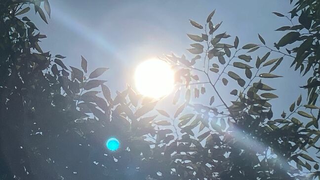 2日連続の猛暑日 勝沼は全国1位の暑さで36.6度、甲府は36度 県内3地点で35度超え 山梨|TBS NEWS DIG