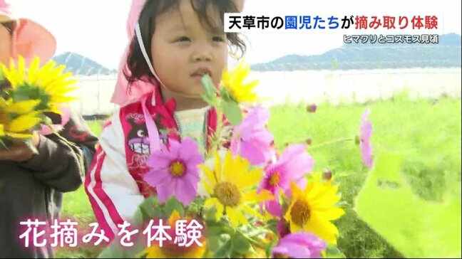 みんなで植えたヒマワリ、両手いっぱいに抱きしめて 「秋の花束」誰にあげる? 熊本県天草市|TBS NEWS DIG