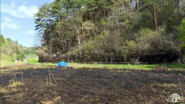 全焼した車から性別不明の遺体　周囲の林は約7万5000㎡が焼ける　青森県五戸町で火災|TBS NEWS DIG