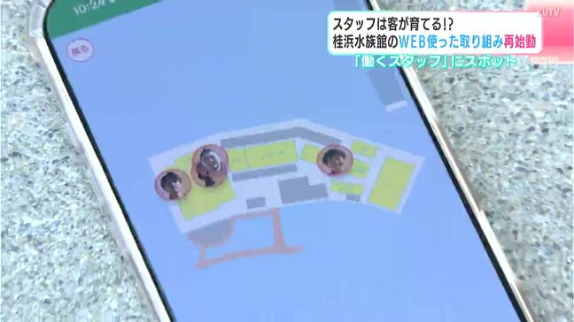 「飼育スタッフはお客さんに育ててもらう！？」桂浜水族館のWEB使った取り組みが再始動|TBS NEWS DIG