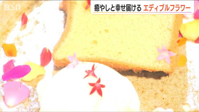 「花って必要なのか？」葛藤の先に… 癒やしと幸せを一瞬で届けるエディブルフラワーカフェに託す思い|TBS NEWS DIG