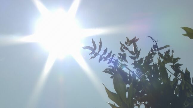 “熱中症になりやすい危険な暑さ”全国的に猛暑日となる見込み…山口県の予想最高気温は39度 !熱中症対策を!|TBS NEWS DIG