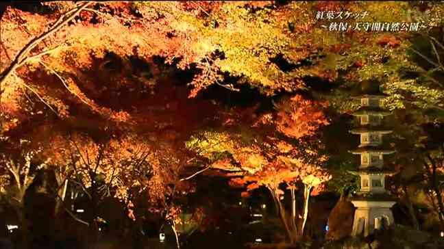 【紅葉スケッチ】秋保・天守閣自然公園　仙台|TBS NEWS DIG