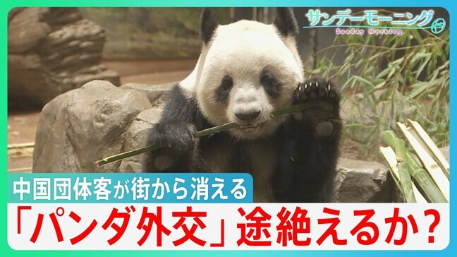宿泊費2万円から半額以下に…中国人団体客が消えた鎌倉・京都の今 上野のパンダも中国へ「パンダ外交」は途絶えるか?【サンデーモーニング】|TBS NEWS DIG