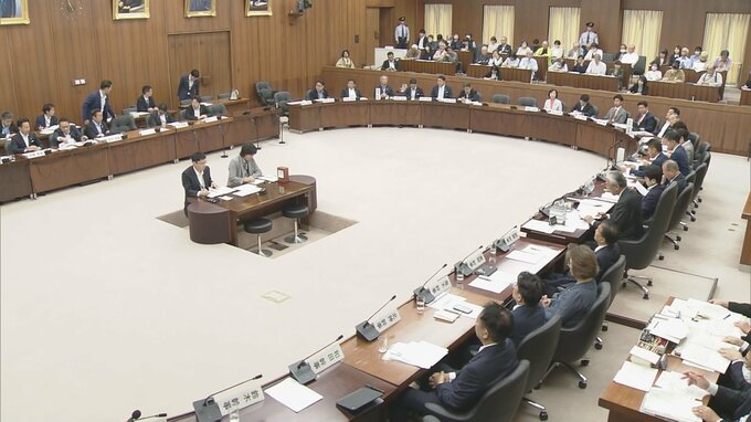 衆院・憲法審査会が国民投票テーマに集中討議　自民は国民投票法改正案を今国会提出の方針示し速やかな審議求める