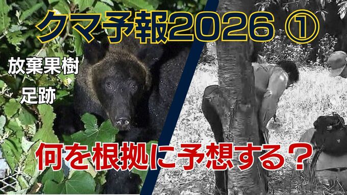 【クマ予報】クマ出没は「天気予報」のように予想できる　札幌市が約20年積み重ねてきたDNA調査から見る傾向と分析|TBS NEWS DIG