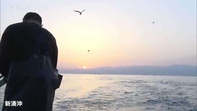 富山湾の宝石「シロエビ」の漁獲量が7年間で倍に増加…漁師がこだわる“競わない独自漁法”とは？　富山県射水市　|　富山のニュース｜天気・防災｜チューリップテレビ