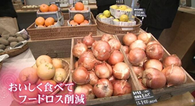 「おいしく食べてフードロス削減を」 起業を志す若者と仲卸業者がタッグで商品展開　|　石川県のニュース｜MRO北陸放送
