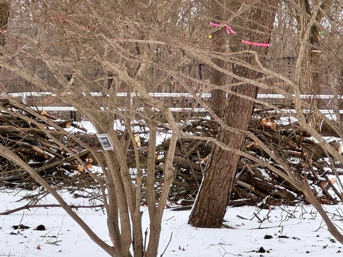 【現場画像】庄内空港付近でクマ目撃　パトロール行うも行方わからず（山形）　|　山形のニュース│TUYテレビユー山形