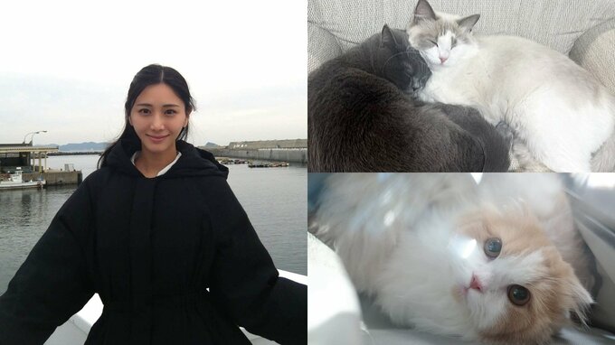 【 斎藤恭代 】冬の訪れに愛猫のお昼寝を紹介「ナカヨシ♡♡」　フォロワー共感「ずっと見ていたい」|TBS NEWS DIG