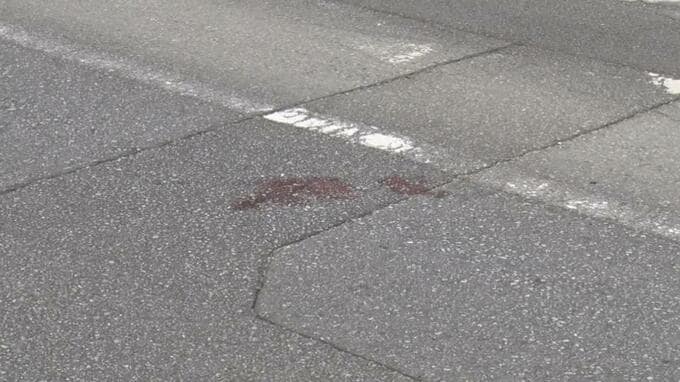 金武町の重傷ひき逃げ事件　彫り師の男（46）を緊急逮捕　「事故を起こしたことは間違いない」と容疑を認める|TBS NEWS DIG