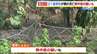 兵庫県内の畑や路上で男性2人死亡…熱中症の疑いも　畑で倒れていた男性は外傷なく死後硬直が進む　|　MBSニュース | 関西の最新ニュースを分かりやすく。