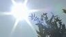 【1か月予報】全国的に気温は高い見通し、西日本日本海側の降水量は平年並みか少なく…全国40地点の16日予報も（気象庁）　|　山口のニュース・天気・防災｜tys NEWS｜ｔｙｓテレビ山口