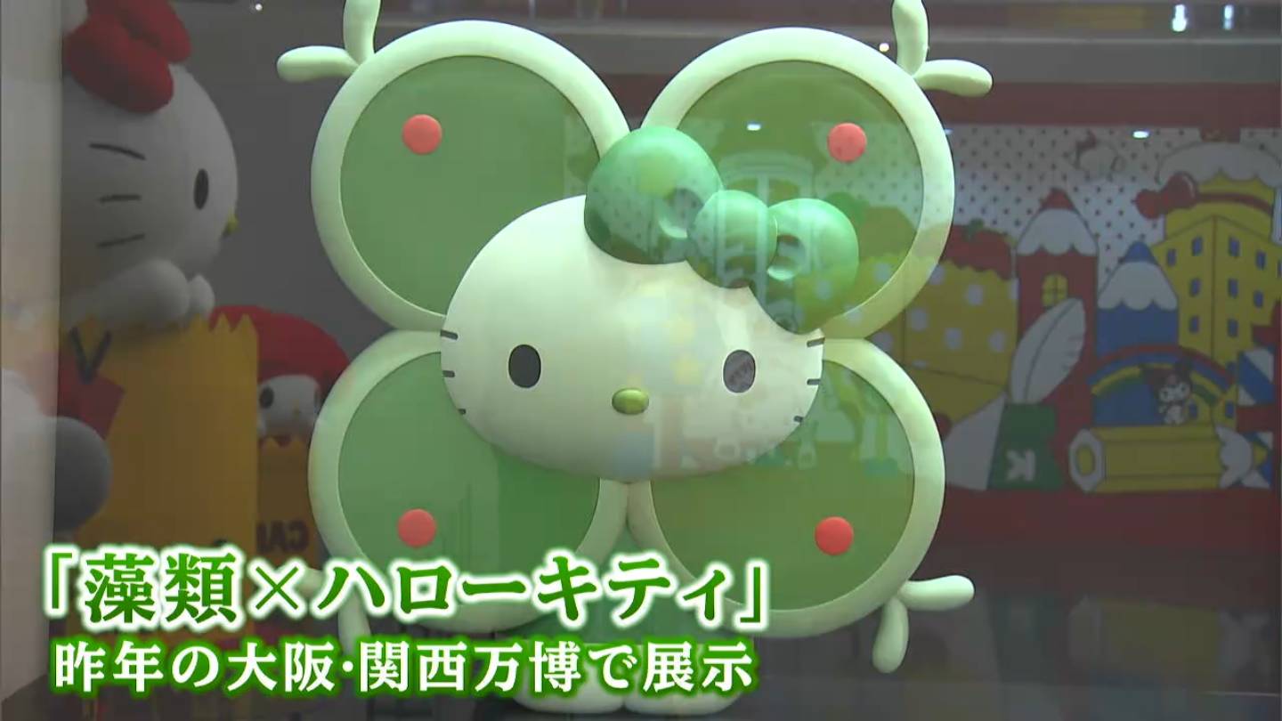 ハローキティ展 わたしが変わるとキティも変わる」開幕 藻に変身した