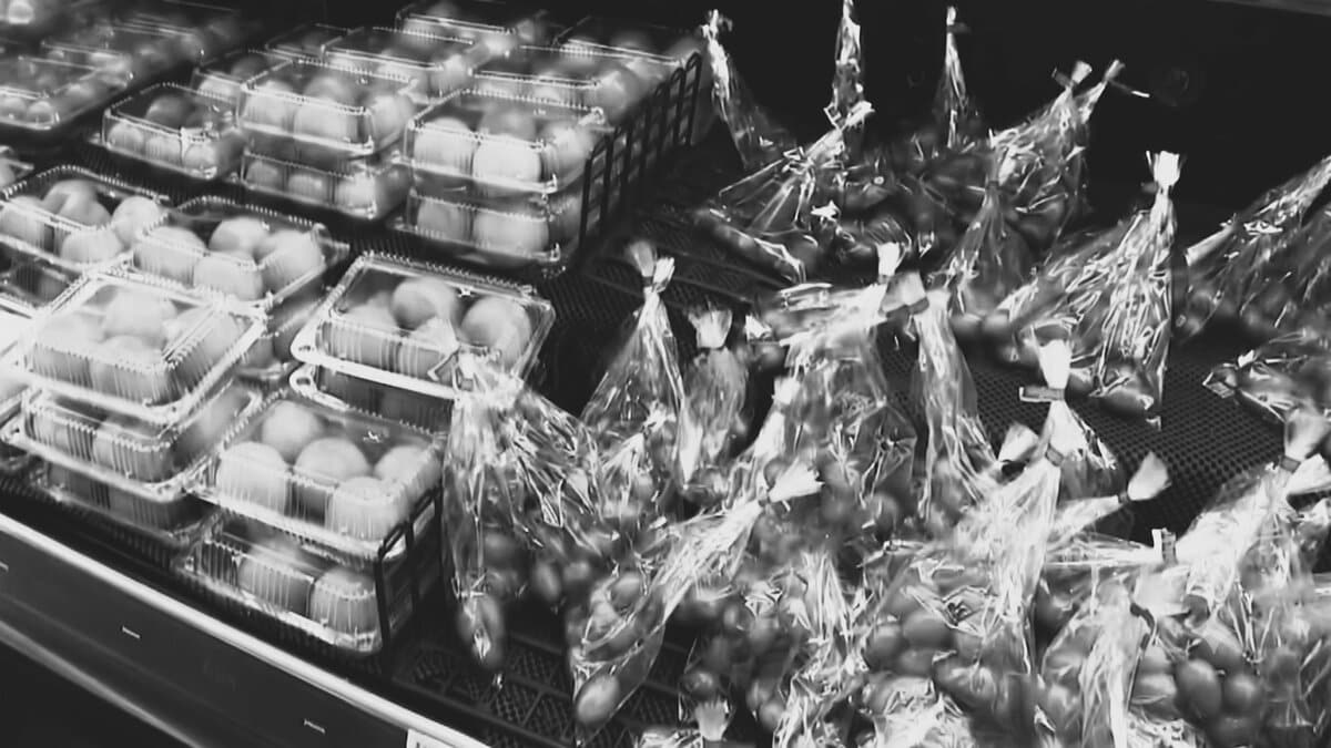 プラスチック大国・日本の危機「レジ袋有料化、貢献していない」本当に見直すべきライフスタイルとは