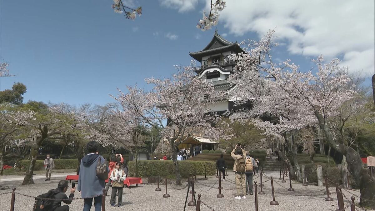 愛知･犬山城 3月から入場料2倍も… 来場者は増加 混雑緩和のためHPで駐車場の空き状況更新