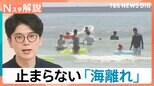 暑さで“外出キャンセル”続々…止まらない「海離れ」にカブトムシ離れ 変わる日本の夏【Nスタ解説】|TBS NEWS DIG