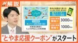 宿泊施設の損失額は7億円超 被災地・富山の復興へ “とやま応援クーポン”はじまる【Nスタ解説】|TBS NEWS DIG