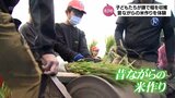 昔ながらの鎌や足踏み式脱穀機で　えびの市で小学生と高校生が米作り体験|TBS NEWS DIG