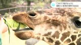 「ごちそうが逃げてしまわぬよう」動物たちは恵方巻きを夢中でほおばる | 高知のニュース・天気|KUTV NEWS | KUTVテレビ高知