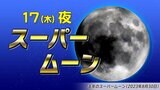 【スーパームーン】きょうは「今年最大の満月」月が大きく見える理由は？ 全国夜の天気は？|TBS NEWS DIG