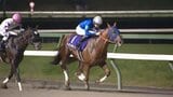 マイルチャンピオンシップ南部杯、中央競馬所属のレモンポップが連覇 岩手所属馬はボウトロイの10着が最高|TBS NEWS DIG