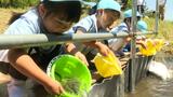 「大きくなってね」園児がヤマメの稚魚を放流　青森県五戸町・五戸川　|　青森のニュース│ATV NEWS│青森テレビ