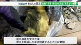 「きれいな壁だけだったから何ともないと見えるけど…」台風15号の「見えない被害」知っていますか?放っておくと健康被害も【わたしの防災】 | 静岡のニュース | SBSNEWS | 静岡放送