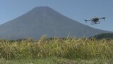 富士山の麓の田んぼ ドローンでレンゲの種まき 景観づくりと高騰する肥料の代わりを期待 | 山梨のニュース | UTYテレビ山梨