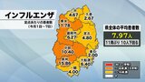定点あたりのインフルエンザ11週ぶり注意報レベル下回る 3つの保健所管内で10人以上継続 新型コロナウイルスは3週続けて↓ 今月1日~7日の岩手|TBS NEWS DIG