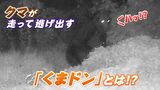 「クマが慌てて逃げだした」新装置 その名は “くまドン”! 北海道・中札内村の住民からは安堵の声も 岡山の大学が開発中|TBS NEWS DIG