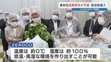 低温・高湿で食材保存「新技術」を熊本・植木青果市場に導入 ニンジン・ジャガイモは約1年間、鮮度を維持|TBS NEWS DIG