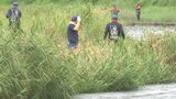 雨で増水した川に流されたか 60代の男性が行方不明 警察や消防が捜索 大分・日田市 | 大分のニュース|OBS NEWS|大分放送
