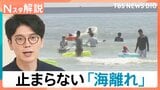暑さで“外出キャンセル”続々…止まらない「海離れ」にカブトムシ離れ 変わる日本の夏【Nスタ解説】|TBS NEWS DIG