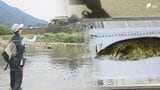 おいしいアユが育つ清流にブラックバスの影 静岡・佐久間地域に県内初の「リリース禁止令」 その場で締めて持ち帰ることが絶対条件に＝静岡・浜松市|TBS NEWS DIG