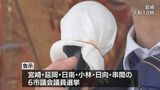 統一地方選後半戦スタート 宮崎県内6市議選 計181人が立候補|TBS NEWS DIG