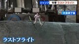 札幌でスキージャンプの国内最終戦　10人のジャンパーが競技生活にピリオド|TBS NEWS DIG